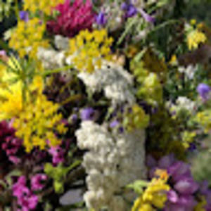 Meet your Posher, Vic